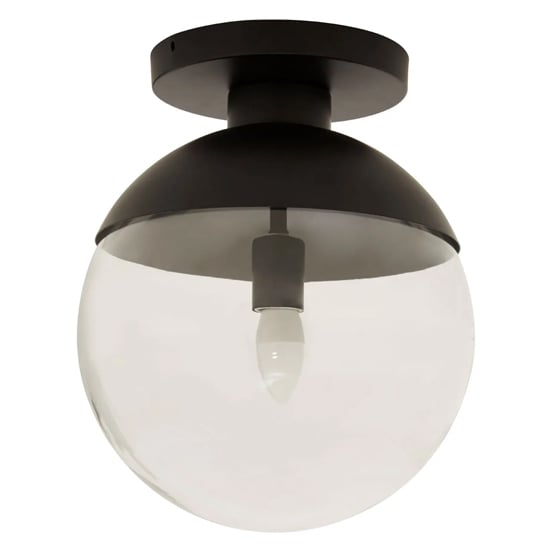 Rocklin Clear Glass Shade Ceiling Light In Black